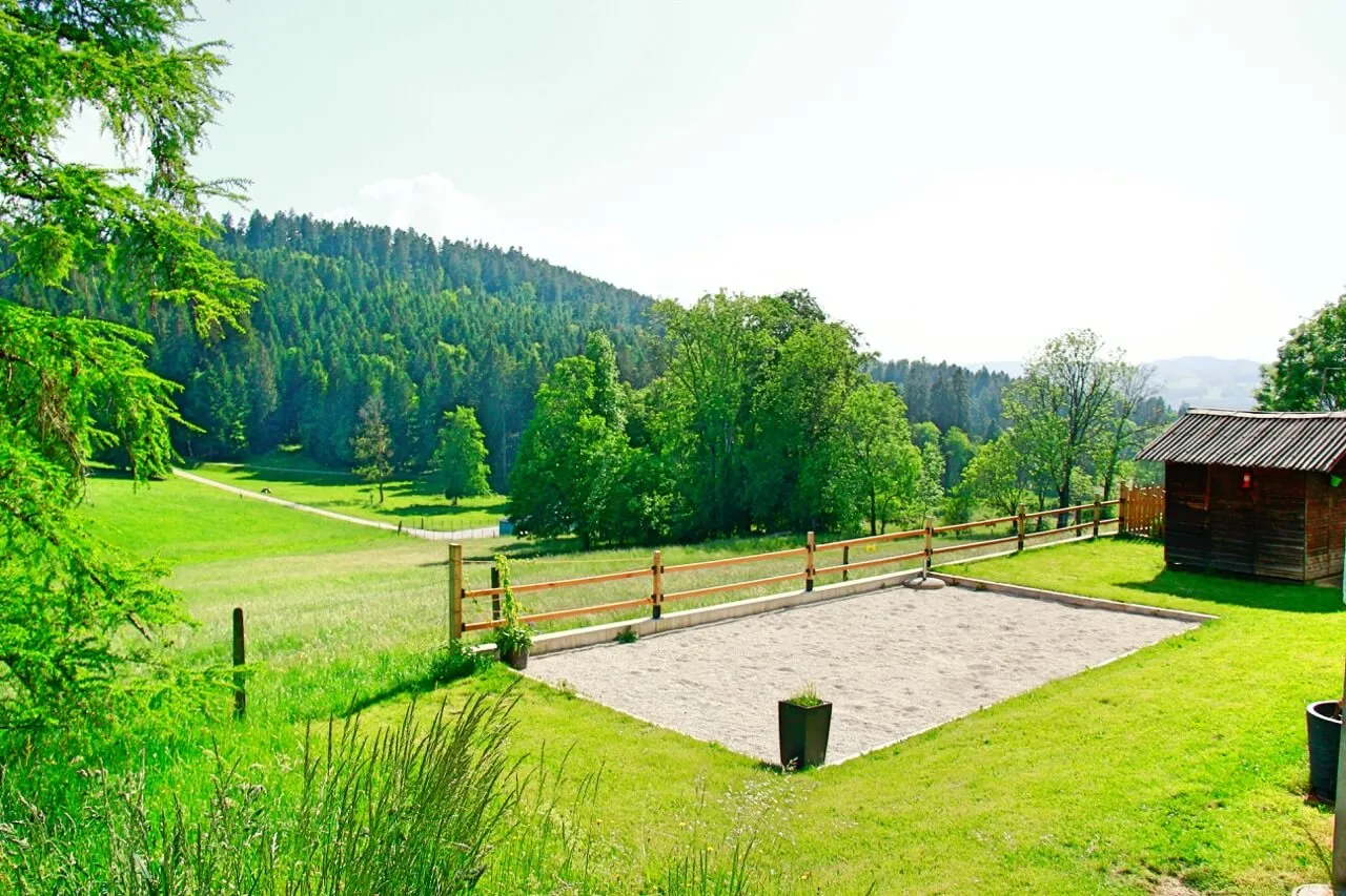 Le terrain de pétanque